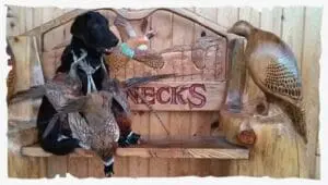 Ringnecks Hunting Lodge photo 3