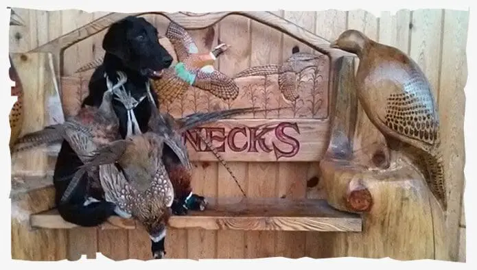 Ringnecks Hunting Lodge photo 2