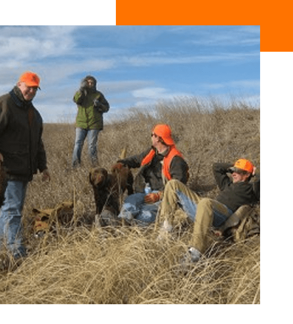 Hunters in orange gear with dogs in a grassy field.
