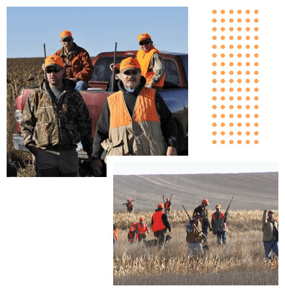 Hunters in bright orange gear with dogs in a field.