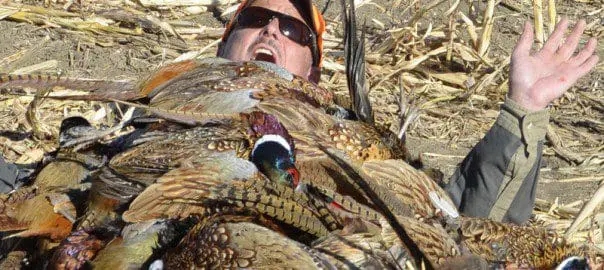 Man surrounded by pheasant birds.