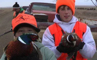 Gallery - Bird Pictures