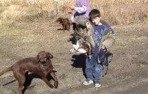 Gallery - Dog Pictures