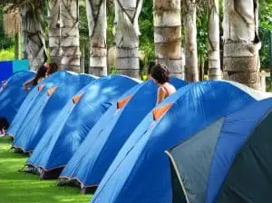 Row of blue tents set up in a forested area with birch trees.