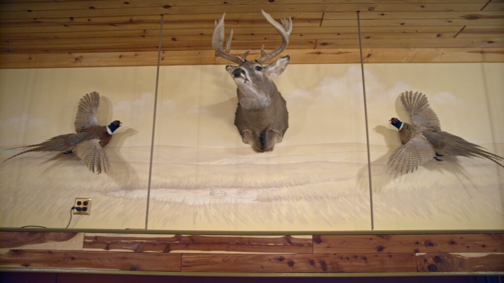 Photo of Taxidermy mounts of deer and pheasants at Ringnecks Lodge.
